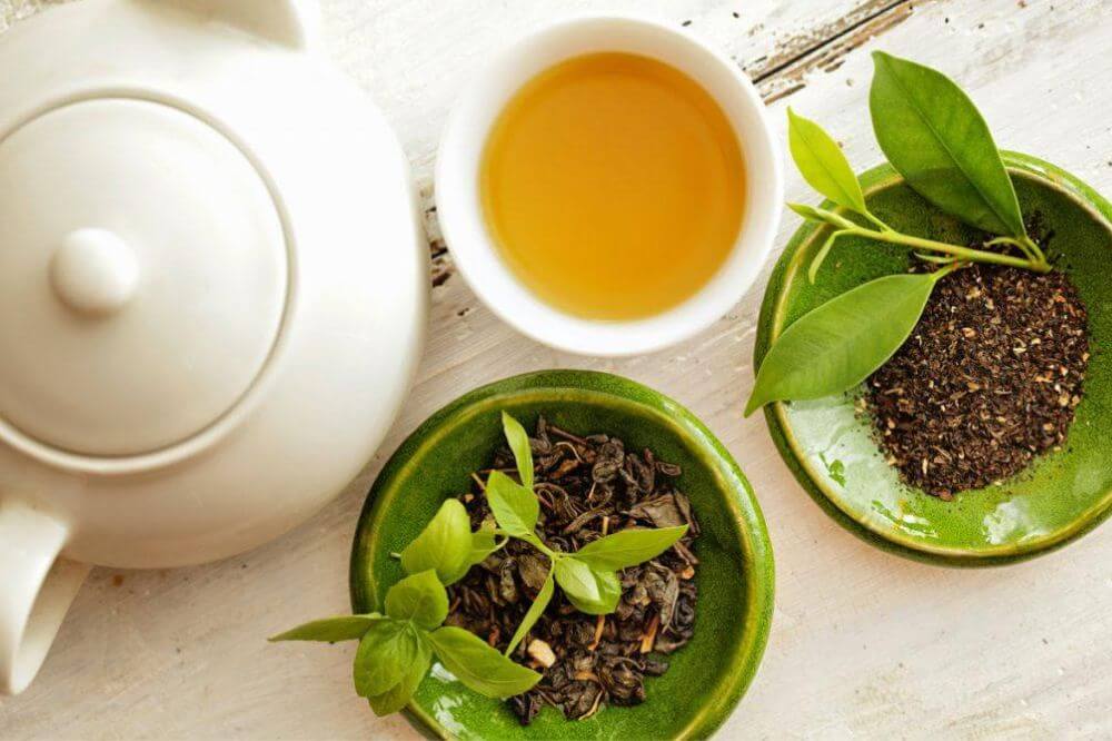 Trà túi lọc - trà tươi - trà khô, loại nào tốt hơn ? 3 tra-2