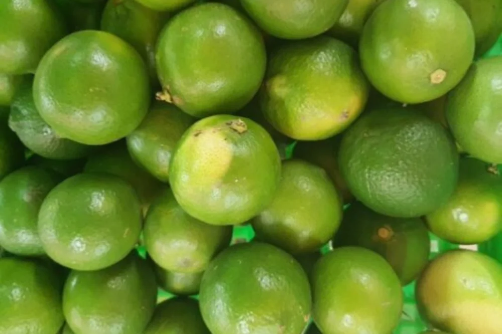 Thiet ke chua co ten 2 3