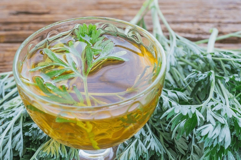 Nước ngải cứu - Công dụng tuyệt vời khi sử dụng 1 cay ngai cuu avt1