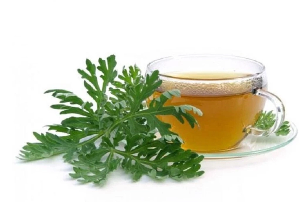 Nước ngải cứu - Công dụng tuyệt vời khi sử dụng 2 cay ngai cuu