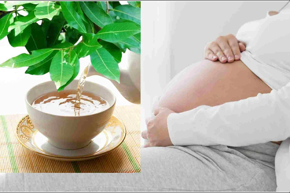 Bà bầu uống nước vối có tốt cho sức khỏe không ? 1 ba-bau-uong-nuoc-voi-co-tot